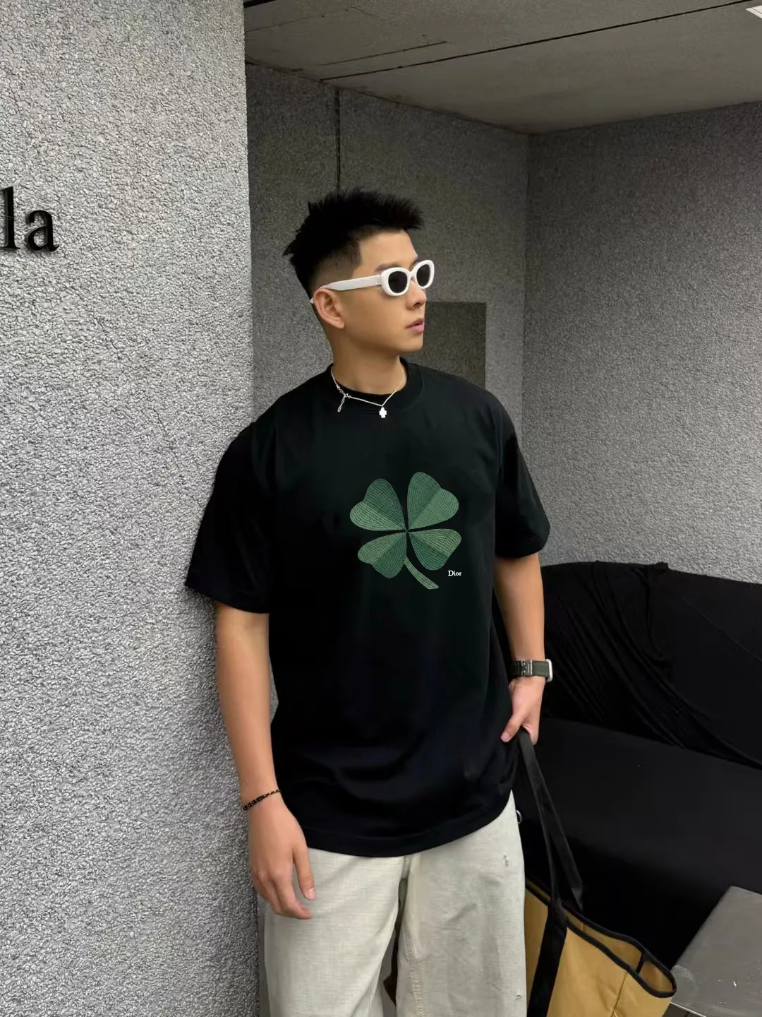model picture