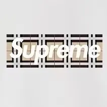 S 1021 # p 80💰 Supreme SS 22 Week 3 x Burberry Box Logo Tee 400 Quality💥 Same Style ：Black White Gray Size：S M L XL XXL